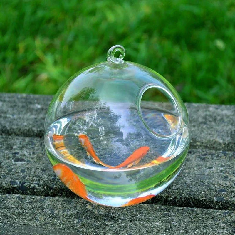 Hanging Glass Vase Fish Tank - Pampered Pets