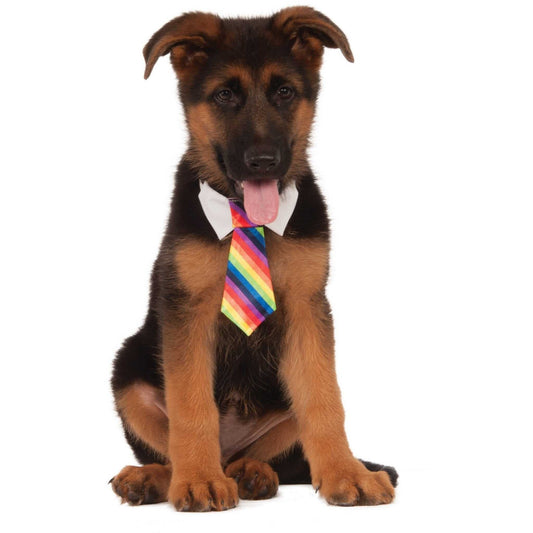 Rainbow Pet Necktie | Pampered Pets