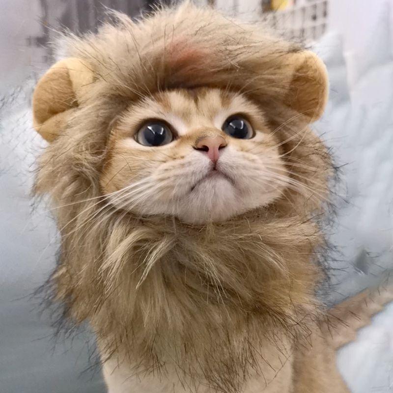 Lion Mane Cat Costume - Pampered Pets