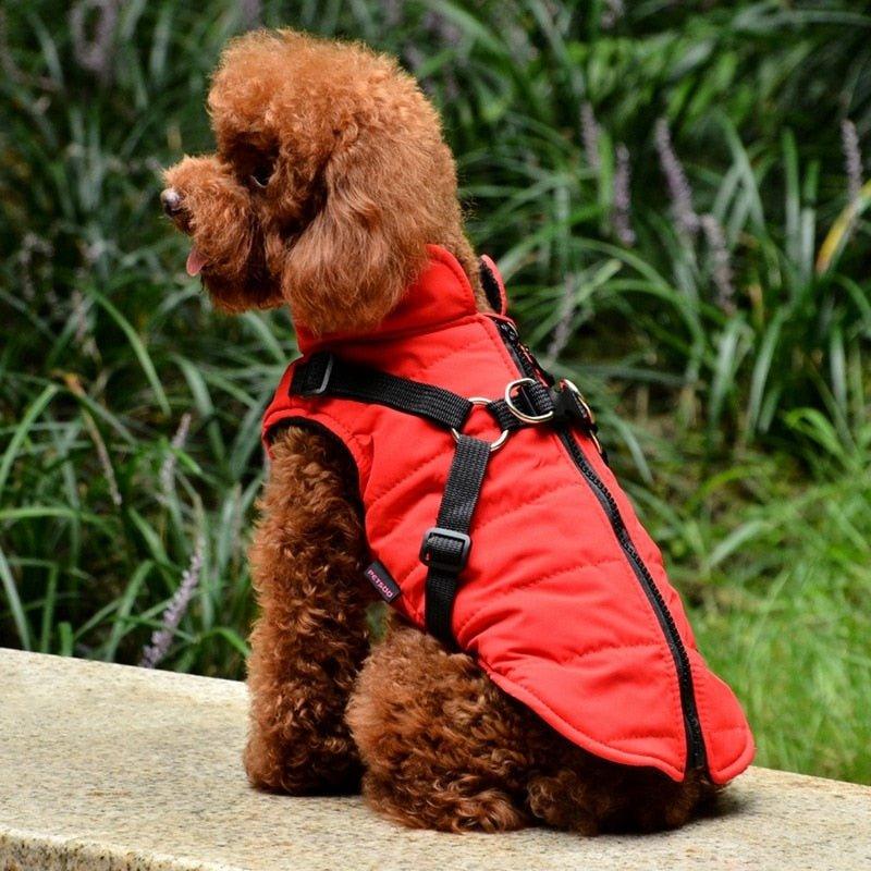 Waterproof Pet Coat With Harness - Pampered Pets