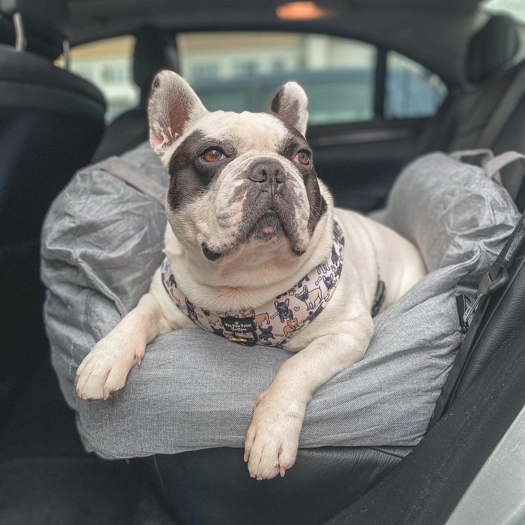 Pet Travel Bed - Pampered Pets