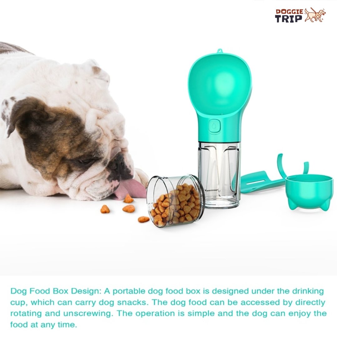 3 in 1 Dog Water Bottle - Feeder | Pampered Pets