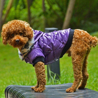 Winter Dog Clothes Warm Thicken Coat Jacket for Puppy Pet Fur Hoodie for Small Medium Dogs Chihuahua French Bulldog Clothing - Pampered Pets