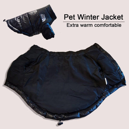 Windproof Reflective Dog Jacket - Pampered Pets