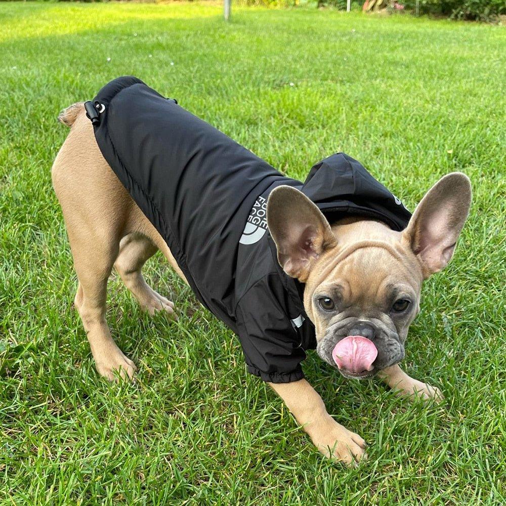 Reflective Pet Hooded Jacket - Pampered Pets