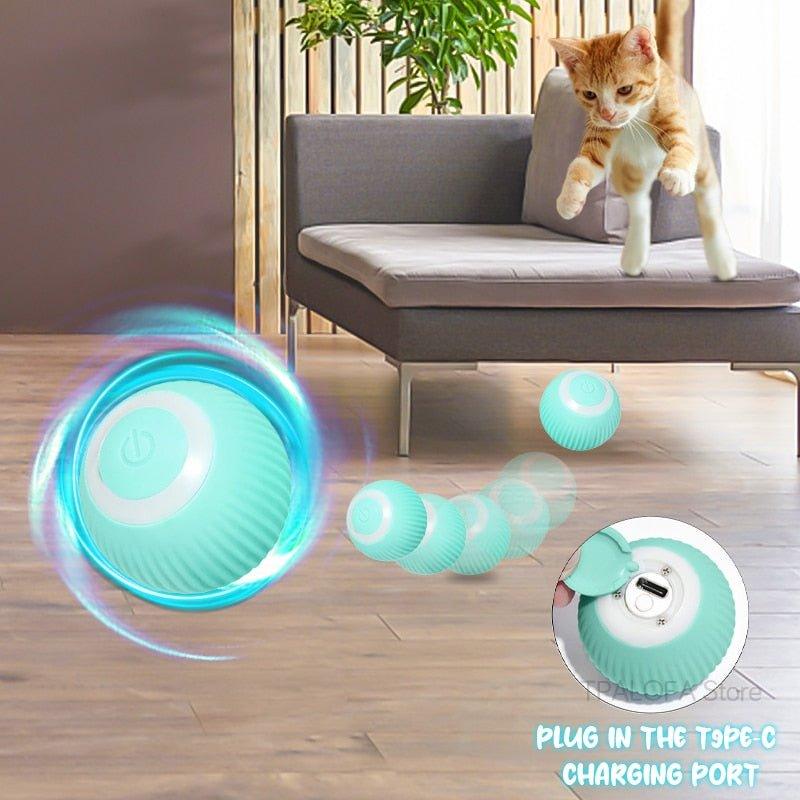 Self-moving Kitten Toys - Pampered Pets