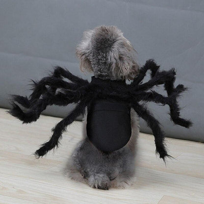 Spider Costume for Pets - Pampered Pets