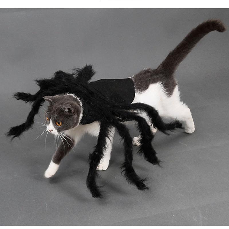 Spider Costume for Pets - Pampered Pets