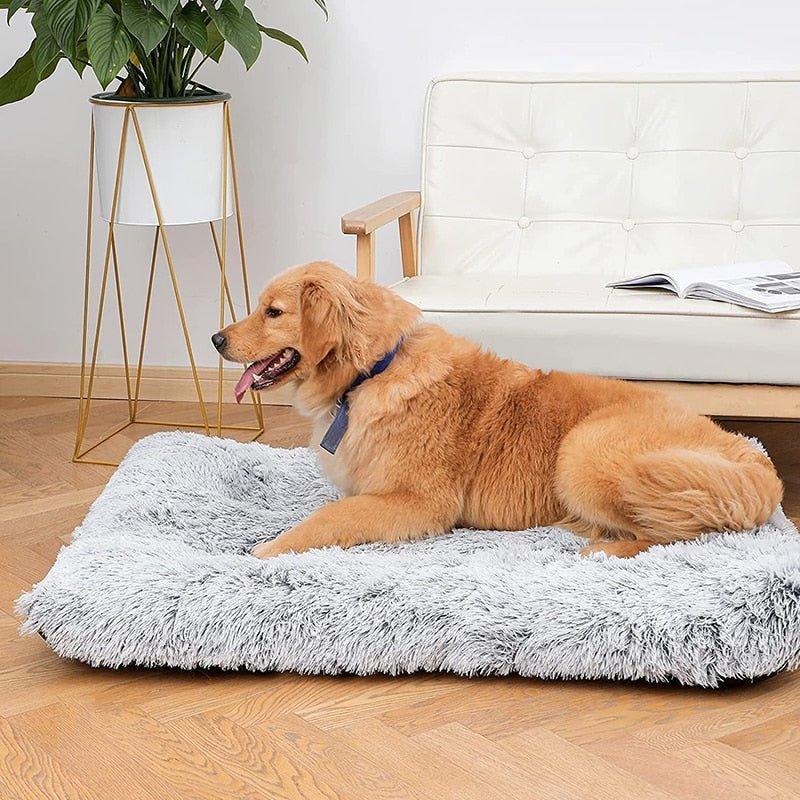 Plush Washable Dog Bed - Pampered Pets