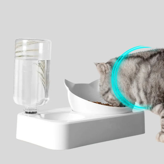 The Kitty Sack Bowl | Pampered Pets
