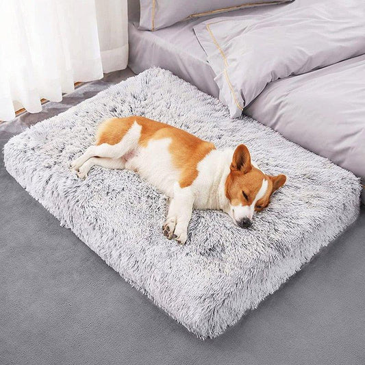 Plush Washable Dog Bed - Pampered Pets