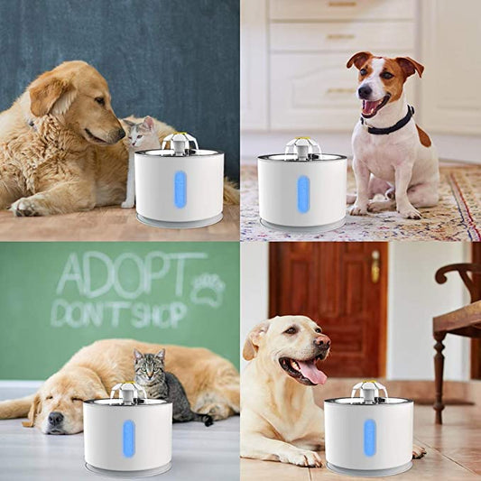 Pet Drinking Electric Dispenser Bowls | Pampered Pets