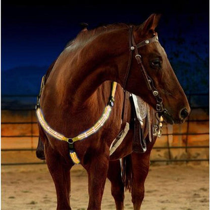 Nylon LED Horse Harness - Pampered Pets