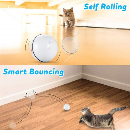 Smart Interactive Pet Ball - Pampered Pets