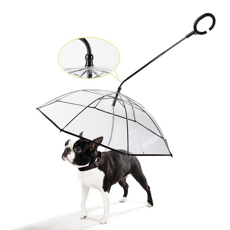 Pet Transparent Umbrella - Pampered Pets