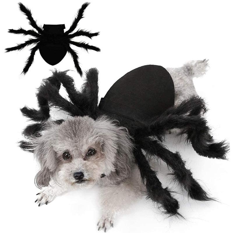 Spider Costume for Pets - Pampered Pets