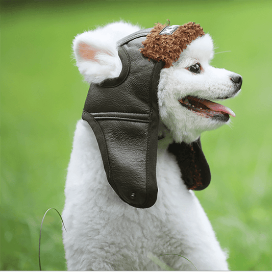 Winter Warm Pet Dogs Hat Puppy Warm Comfortable Handsome Poilt Cap Autumn Winter Cashmere | Pampered Pets