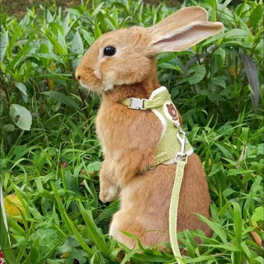 Newest Cute Rabbit Harness and Leash Set Bunny Pet Accessories Vest Harnesses Rabbit Leashes for Outdoor Walking Pets Supplies | Pampered Pets