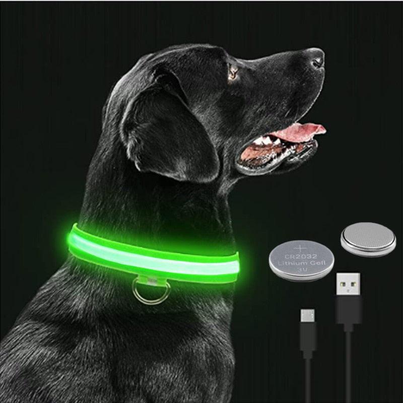 LED Glowing Dog Collar Adjustable Flashing Rechargea Luminous Collar Night Anti-Lost Dog Light HarnessFor Small Dog Pet Products - Pampered Pets