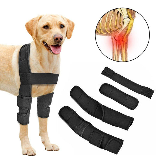 Pet Leg Support - Pampered Pets