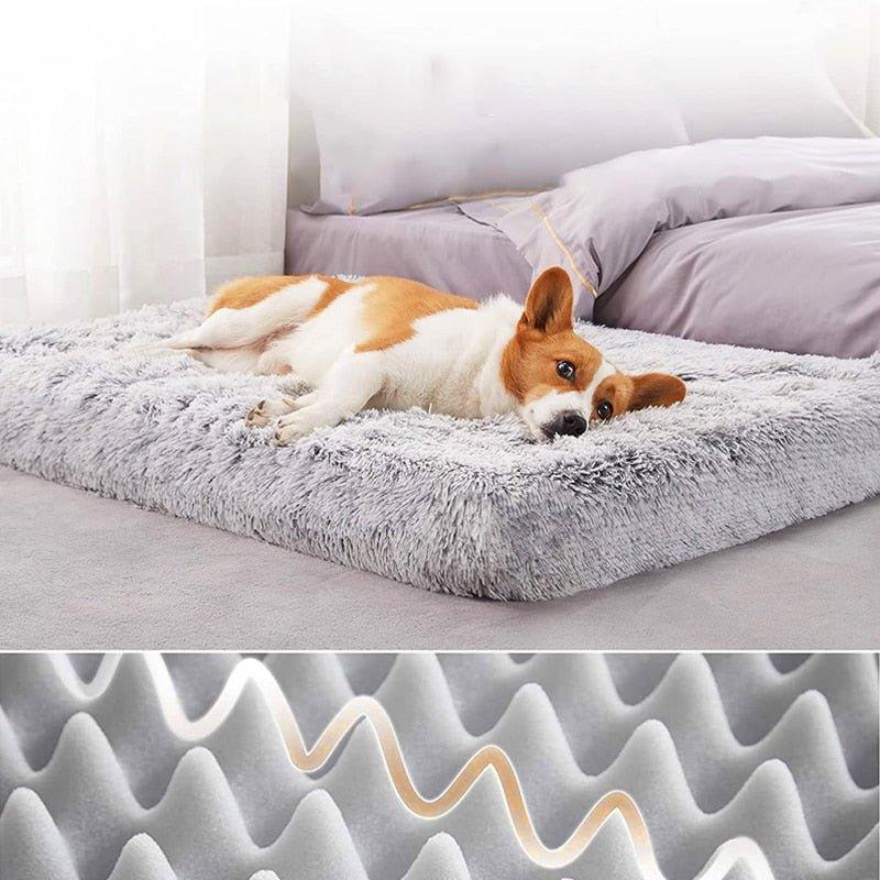 Plush Washable Dog Bed - Pampered Pets