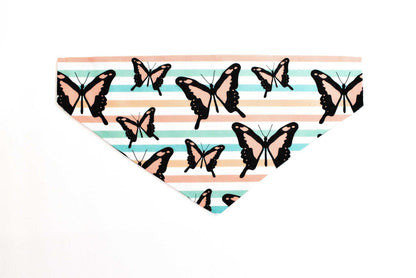 Butterfly Bandana | Pampered Pets