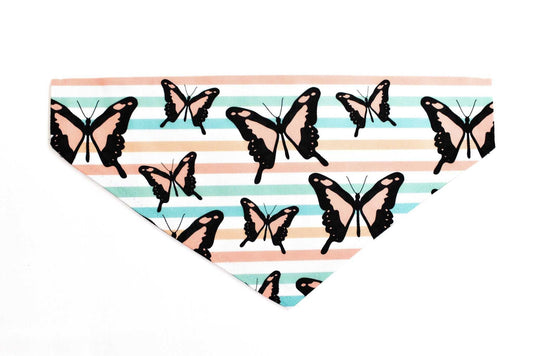 Butterfly Bandana - Pampered Pets