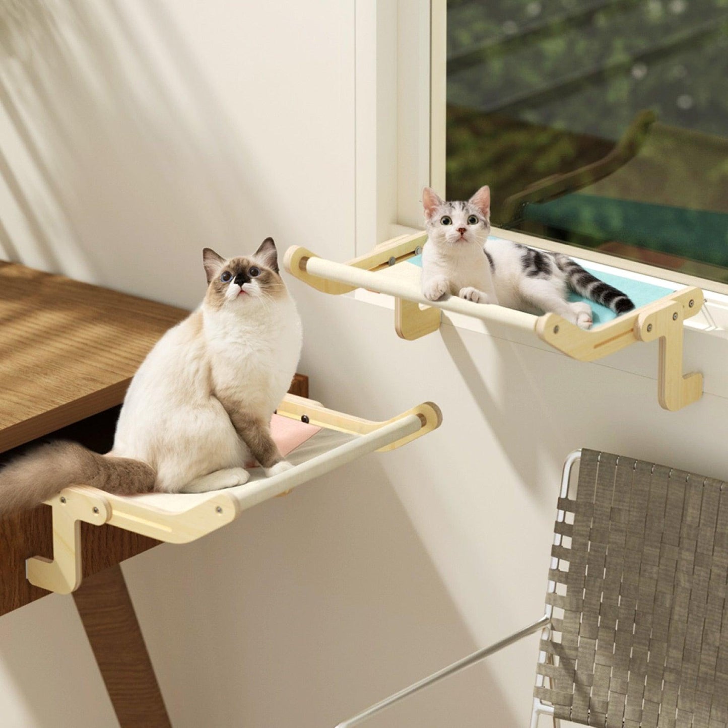 Mewoofun Sturdy Cat Window Perch Wooden Assembly Hanging Bed Cotton Canvas Easy Washable Multi-Ply Plywood Hot Selling Hammock - Pampered Pets