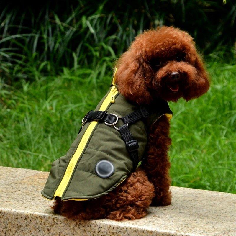 Waterproof Pet Coat With Harness - Pampered Pets