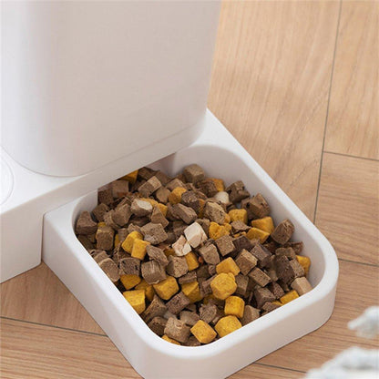 Cat Automatic Feeder - Pampered Pets