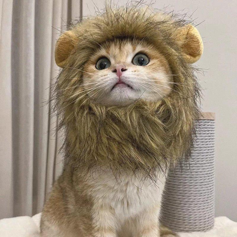 Lion Mane Cat Costume - Pampered Pets