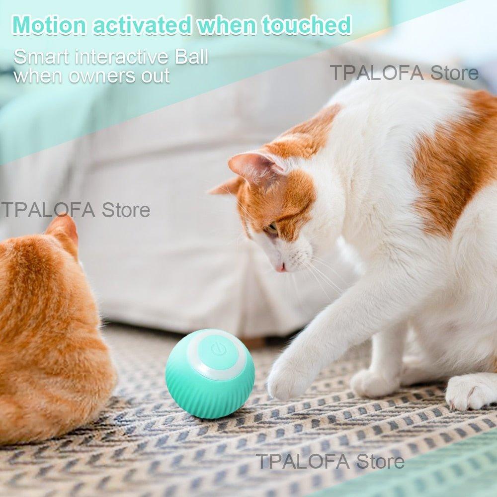 Self-moving Kitten Toys - Pampered Pets