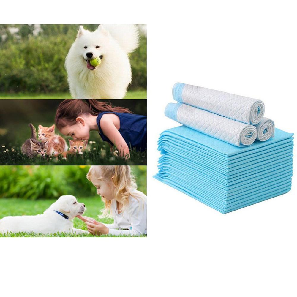 Super Absorbent Pet Diaper - Pampered Pets