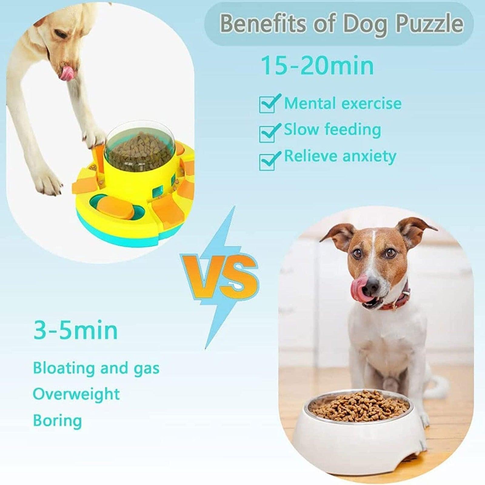 Dog Puzzle Feeder - Pampered Pets