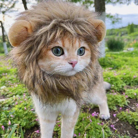 Lion Mane Cat Costume - Pampered Pets